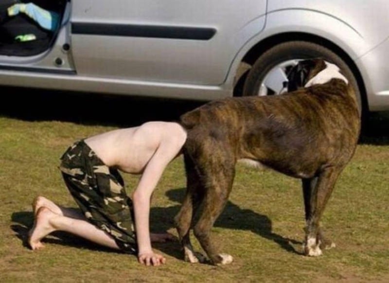 30 Exciting Funny Pictures For You To Laugh At 