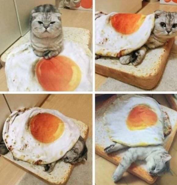 30 Exciting Funny Pictures For You To Laugh At 