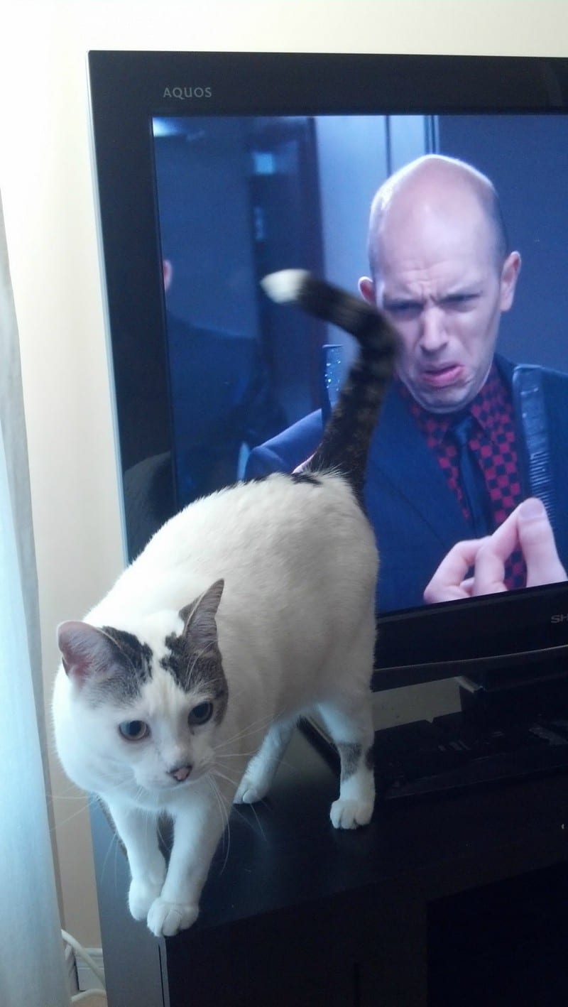 30 Exciting Funny Pictures For You To Laugh At 