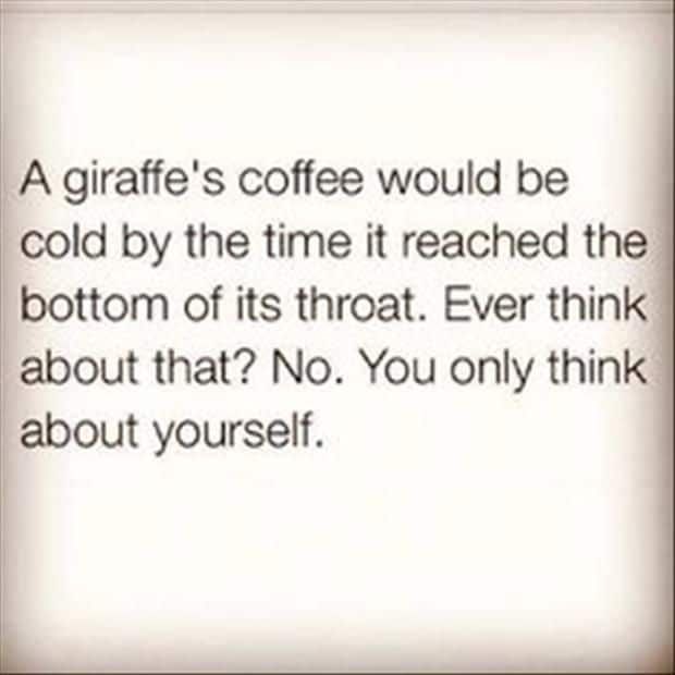30 Brilliant Quotes About Life