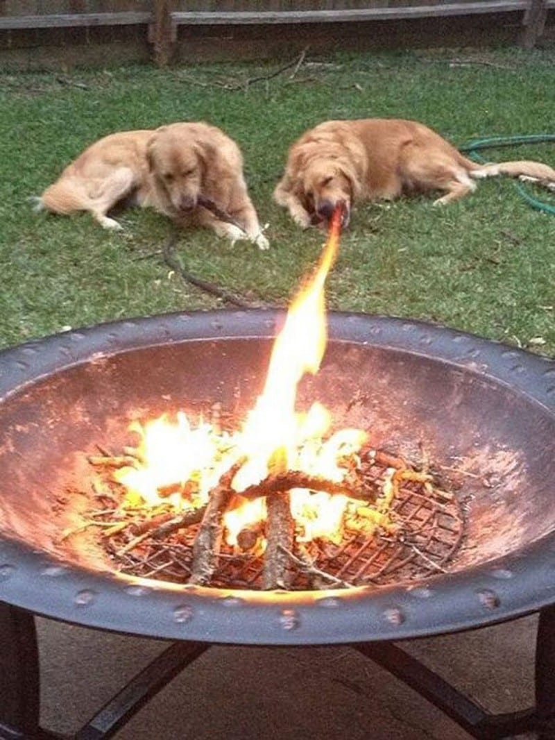 30 Exciting Funny Pictures For You To Laugh At 
