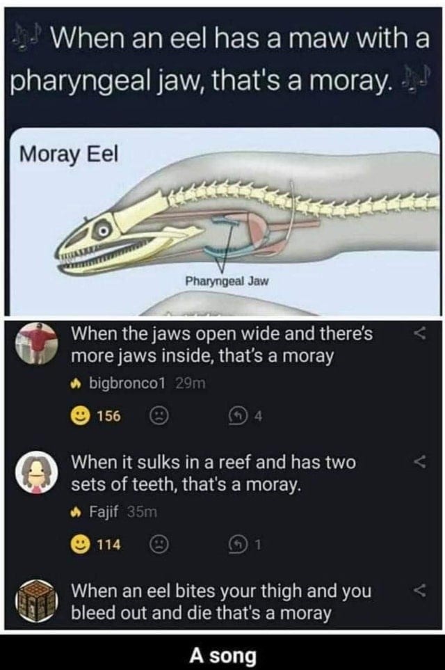 30 Awesome Puns That Will Make Your Day Better 