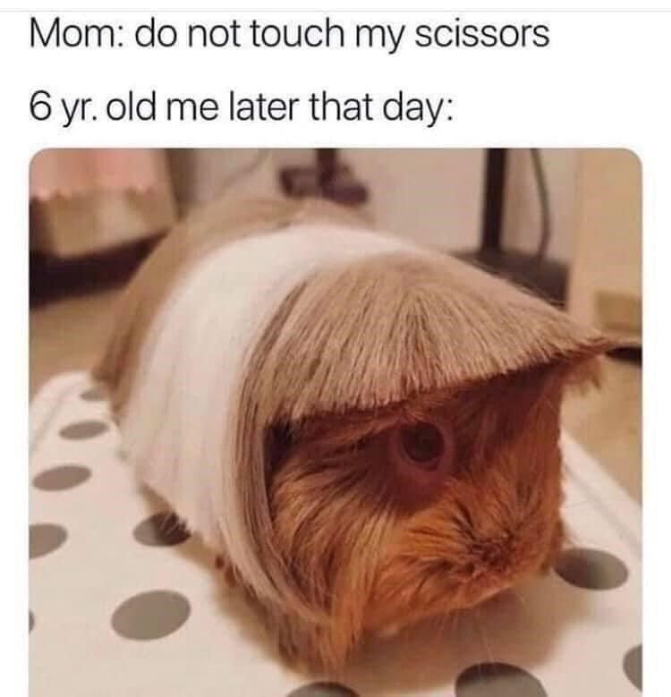 30 Accurate Memes To Share With Your Sibling