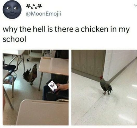 30 Exciting Funny Pictures For You To Laugh At 