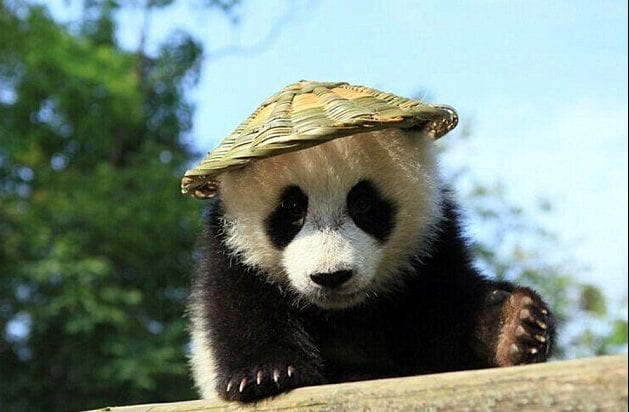 30 Exciting Funny Pictures For You To Laugh At 