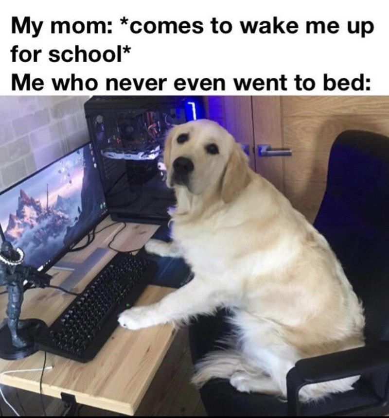 30 Accurate Memes To Share With Your Sibling