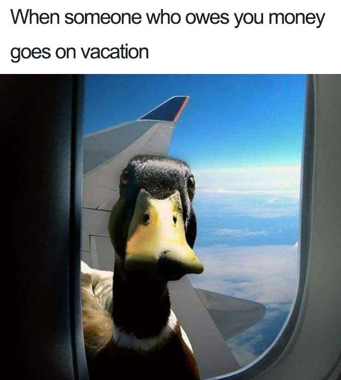 30 Terrific Holiday Memes That Are Just So Relatable