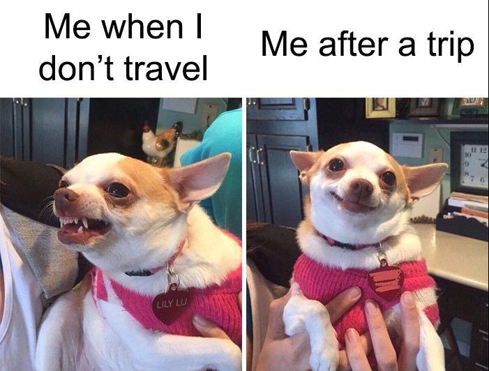 30 Terrific Holiday Memes That Are Just So Relatable