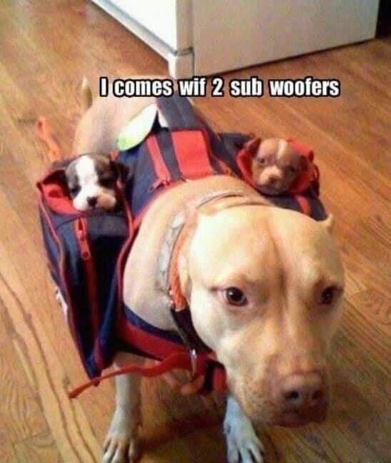 30 Awesome Puns That Will Make Your Day Better 