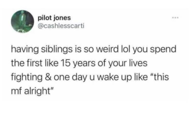 30 Accurate Memes To Share With Your Sibling