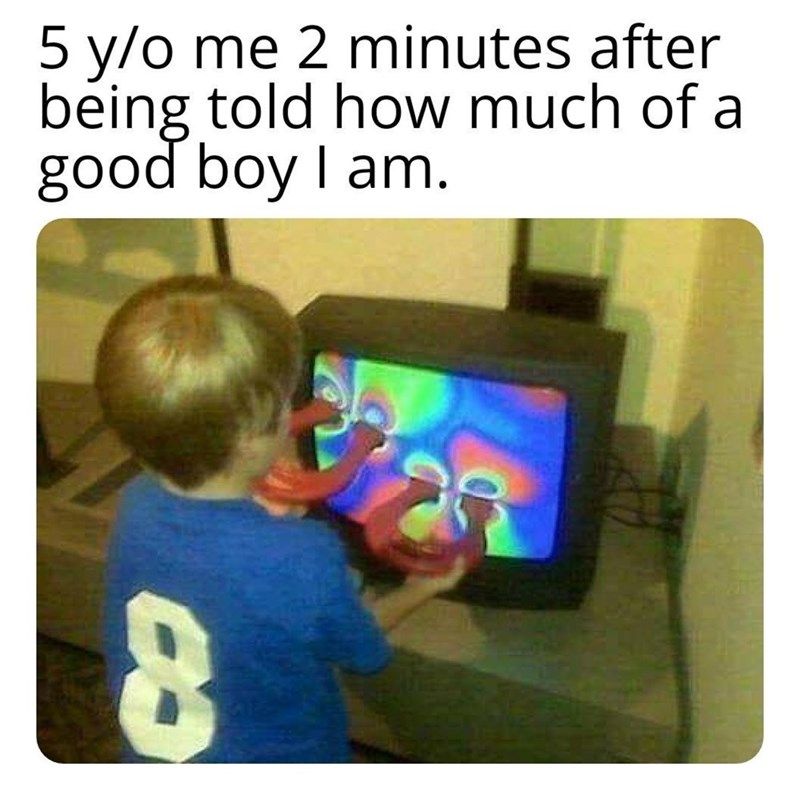 30 Accurate Memes To Share With Your Sibling