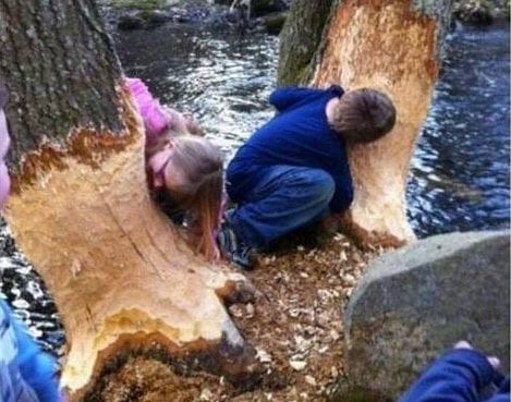 30 Exciting Funny Pictures For You To Laugh At 