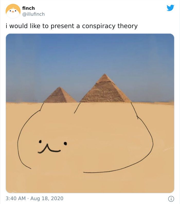 30 Adorable Cat Memes For You To Enjoy
