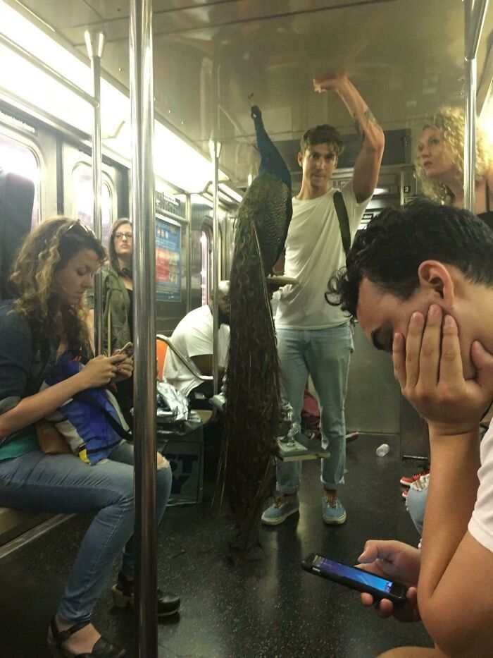 30 Strange And Weird Pictures Taken On The Subway