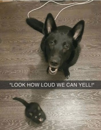 32 Inspirational And Wholesome Memes To Uplift You