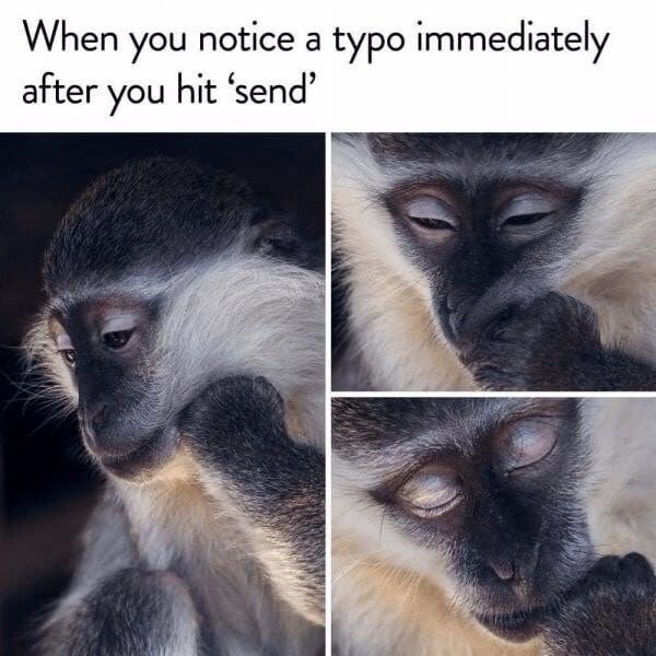 31 Absolutely Funny Animal Memes&Nbsp;