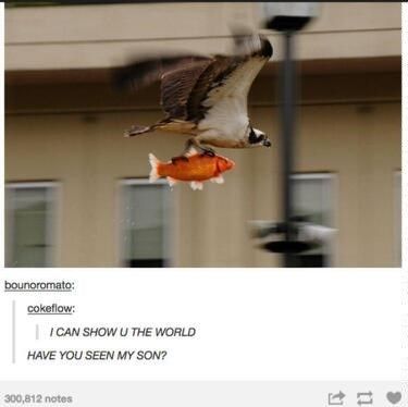 31 Absolutely Funny Animal Memes&Nbsp;