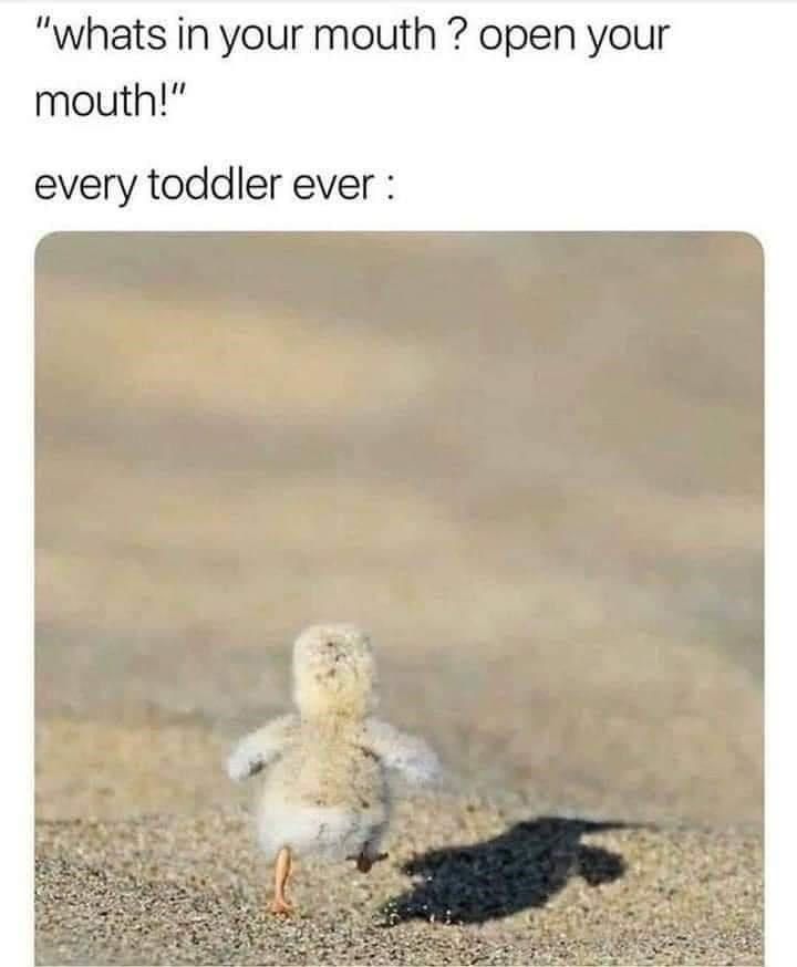 32 Silly Memes For Parents To Laugh At