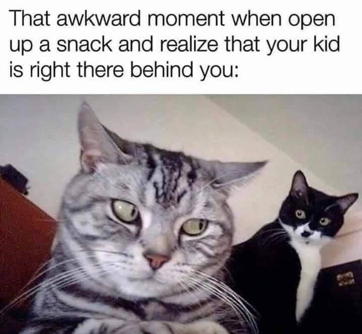 32 Silly Memes For Parents To Laugh At