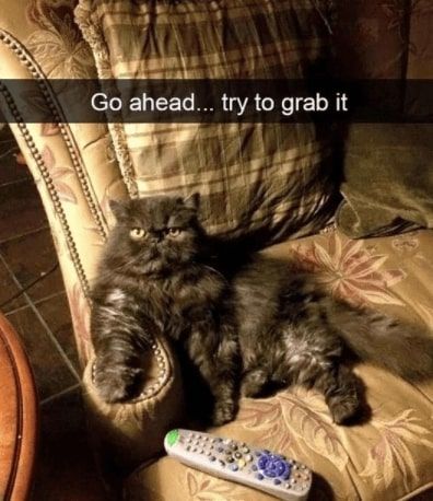 32 Inspirational And Wholesome Memes To Uplift You