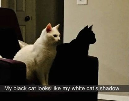 32 Inspirational And Wholesome Memes To Uplift You