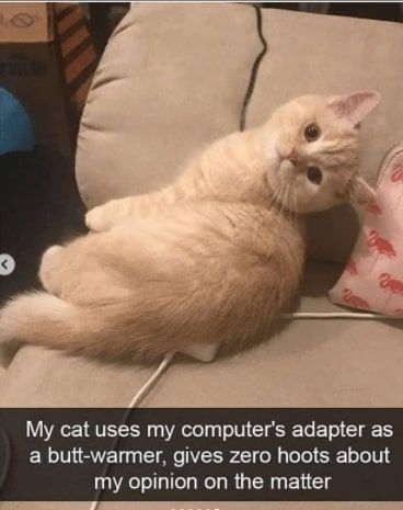 32 Inspirational And Wholesome Memes To Uplift You