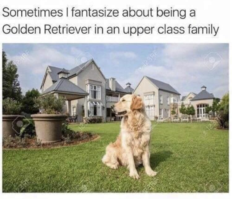 30 Absurd Rich People Memes Not Many Can Relate To