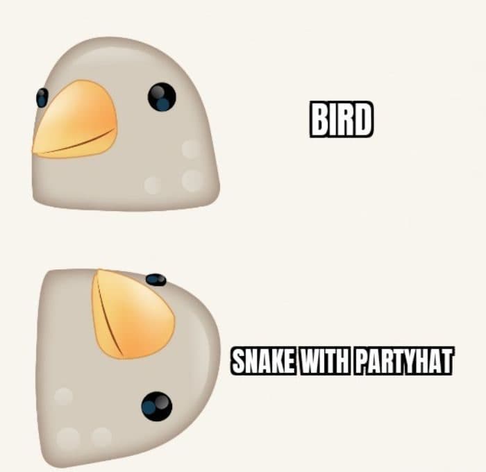 30 Great Bird Memes That Show Just How Superior Birds Are 