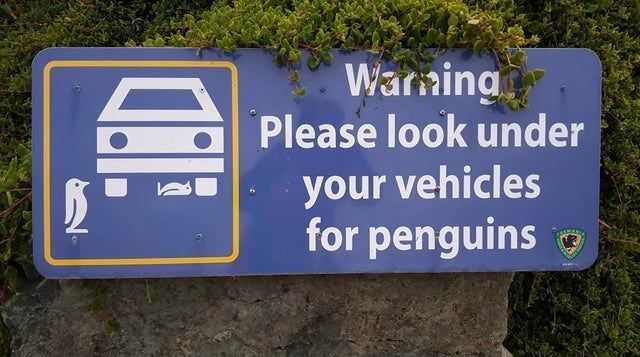 30 Elite Signs That Are Too Funny To Be True