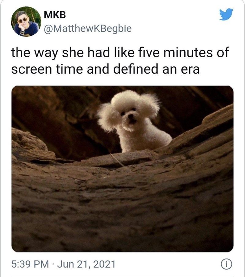 30 Truly Funny Tweets You Just Have To Read