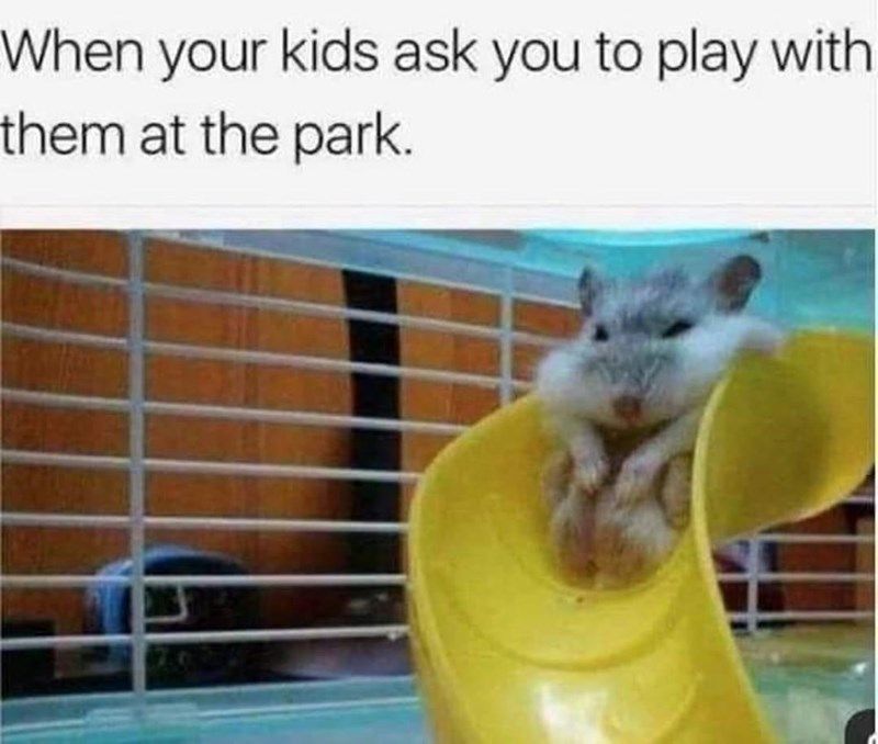 32 Silly Memes For Parents To Laugh At