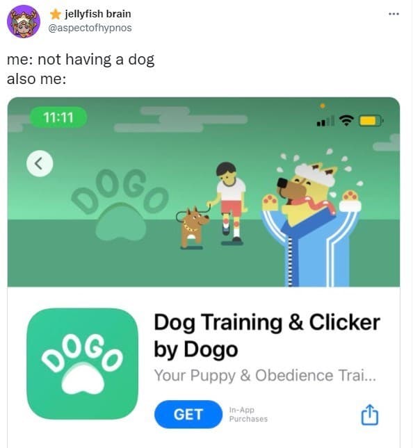 30 Excellent Dog Memes To Make Your Day Better