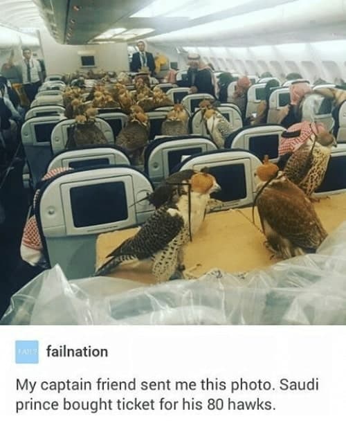 30 Absurd Rich People Memes Not Many Can Relate To