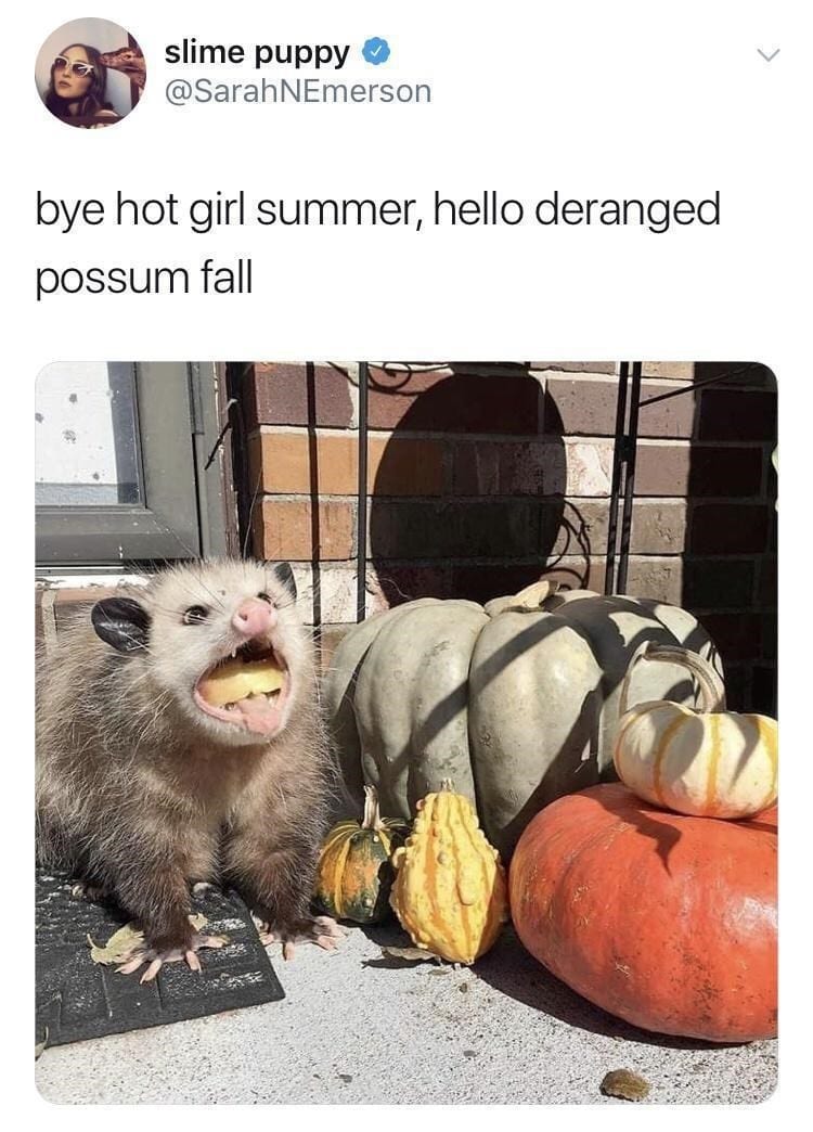 30 Awesome Memes From This Past Halloween 