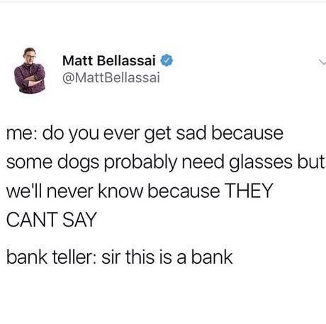 31 Absolutely Funny Animal Memes&Nbsp;