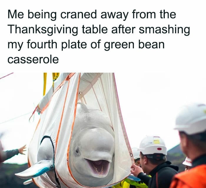 30 Festive Thanksgiving Memes That Are So Relatable 