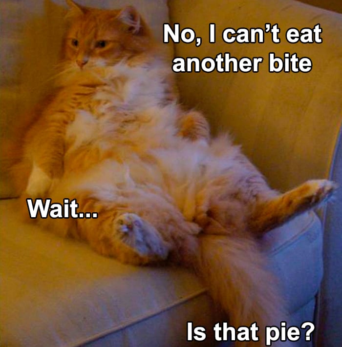 30 Festive Thanksgiving Memes That Are So Relatable 