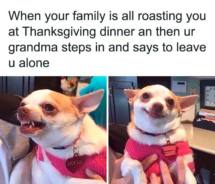 30 Festive Thanksgiving Memes That Are So Relatable 