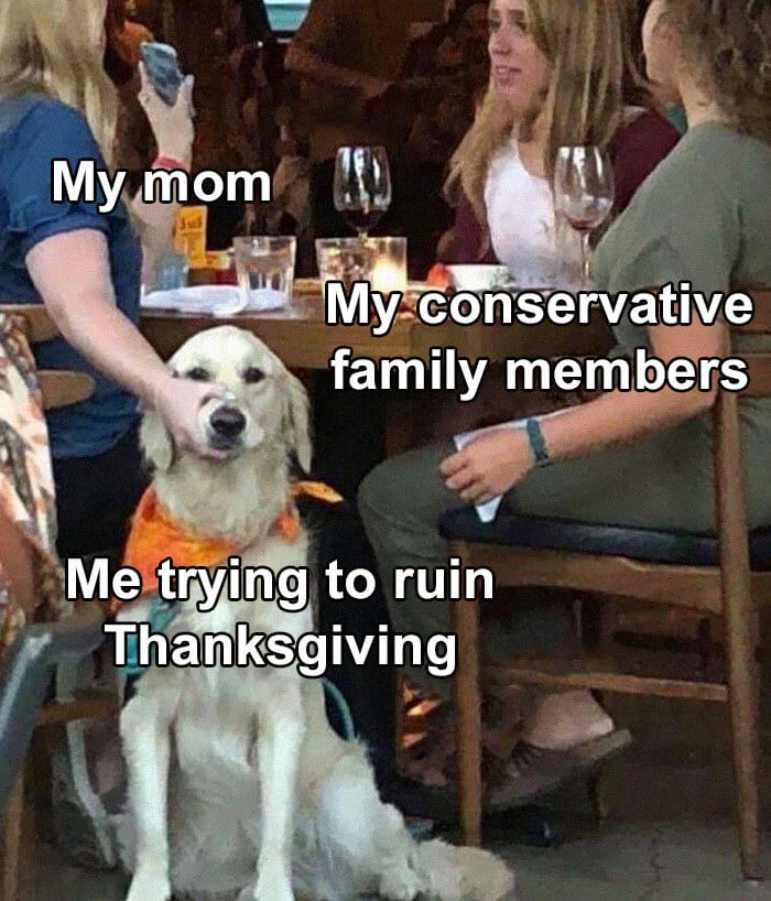 30 Festive Thanksgiving Memes That Are So Relatable 