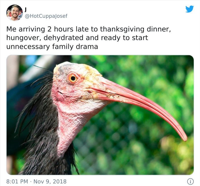 30 Festive Thanksgiving Memes That Are So Relatable 
