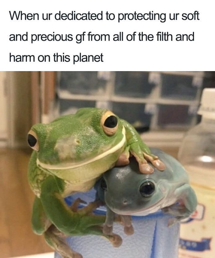  30 Accurate Relationship Memes For All The Lovely Couples 