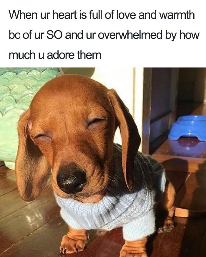  30 Accurate Relationship Memes For All The Lovely Couples 