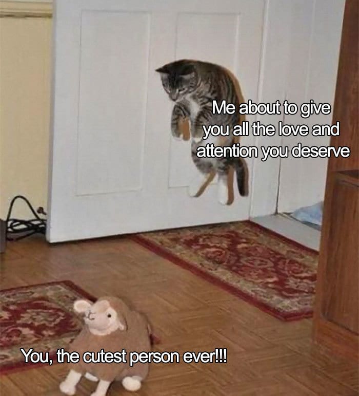  30 Accurate Relationship Memes For All The Lovely Couples 