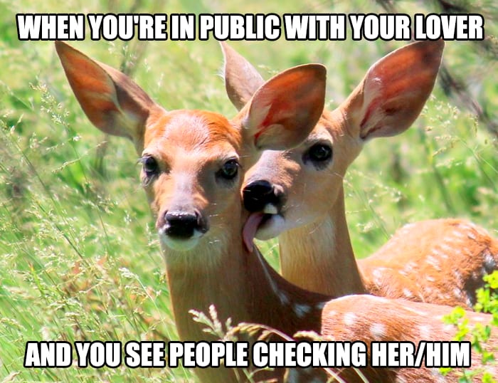  30 Accurate Relationship Memes For All The Lovely Couples 