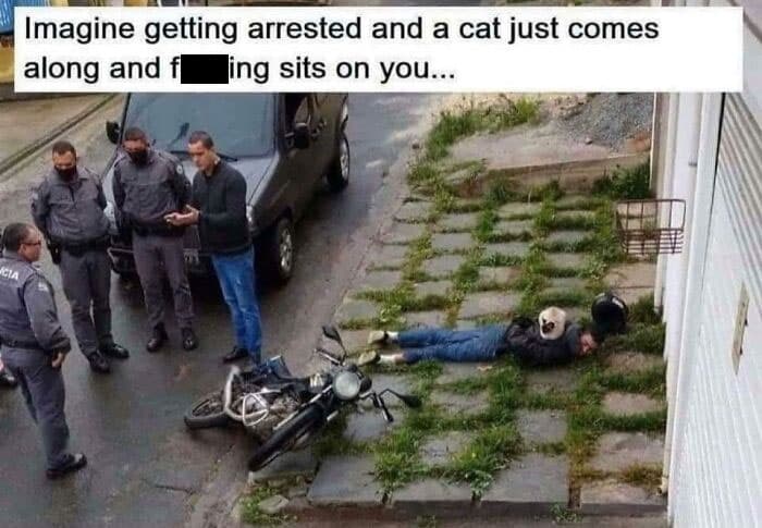 30 Sensational Memes About The Great Outdoors
