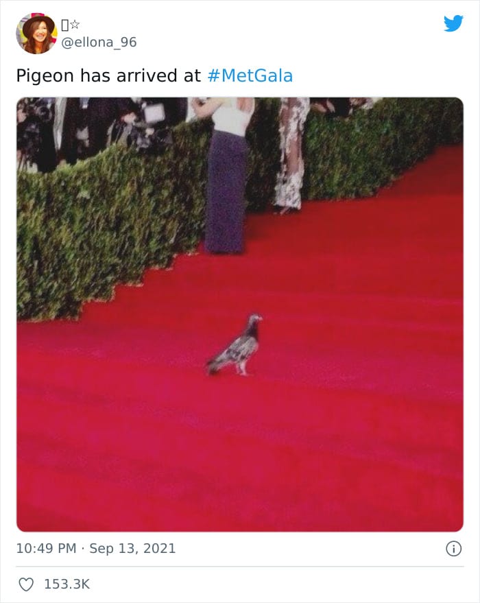 30 Dreamy Memes From The Met Gala You Must See 