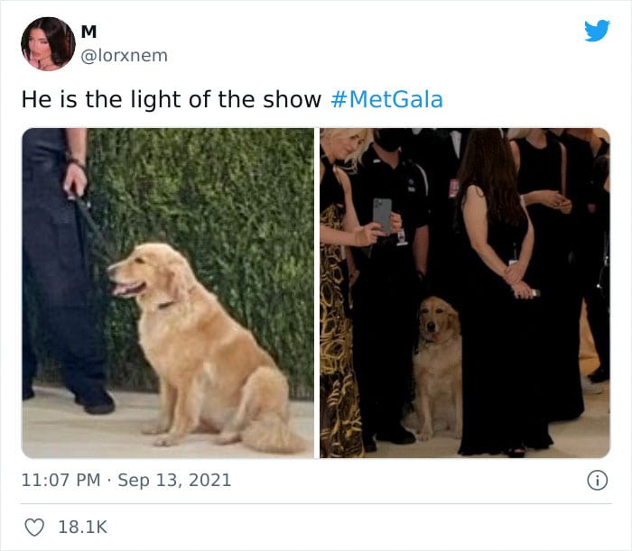 30 Dreamy Memes From The Met Gala You Must See 