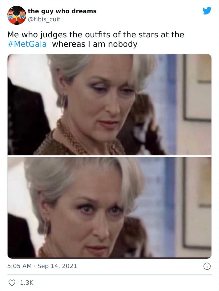 30 Dreamy Memes From The Met Gala You Must See 
