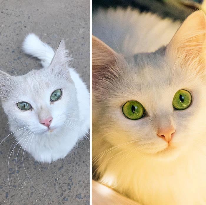 31 Heartwarming Before And After Images That Are So Wholesome !