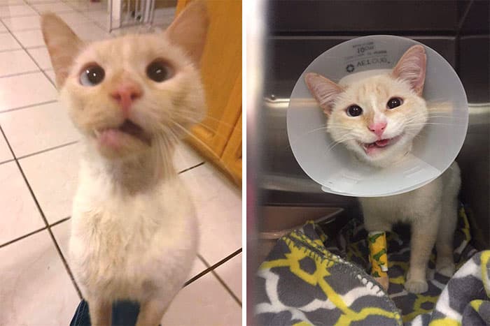 31 Heartwarming Before And After Images That Are So Wholesome !